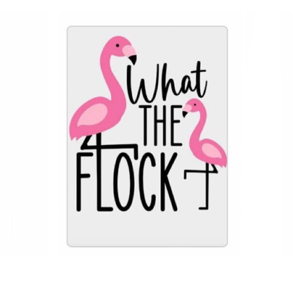 What the Flock 🦩 Magnet